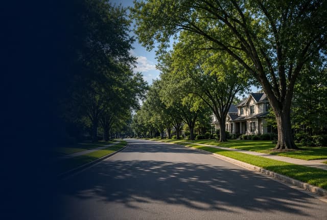 A sunny residential street under large shade trees in daylight, with a two-story gabled house set back on a sloping lawn